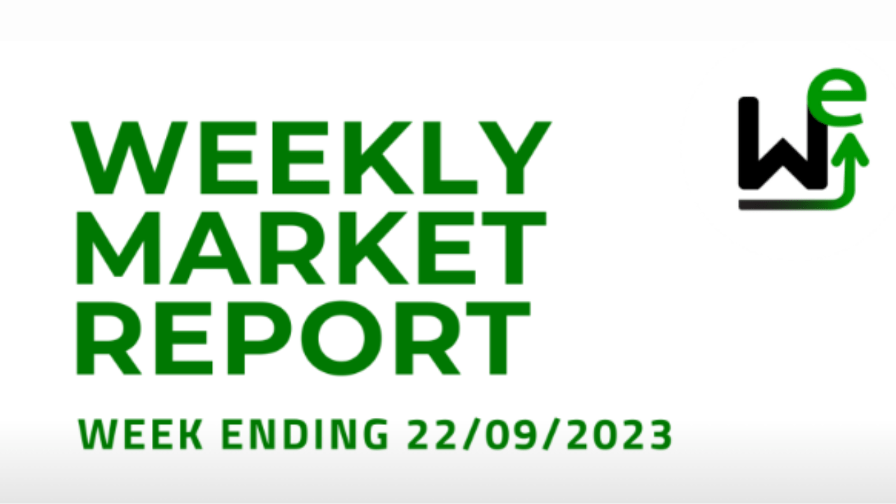 WEEKLT MARKET REPORT